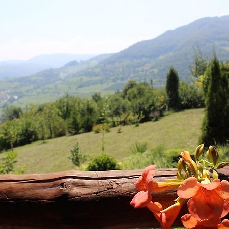 Visoko Gorani Cottage Ngoại thất bức ảnh