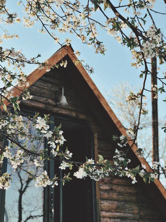 Visoko Gorani Cottage Ngoại thất bức ảnh