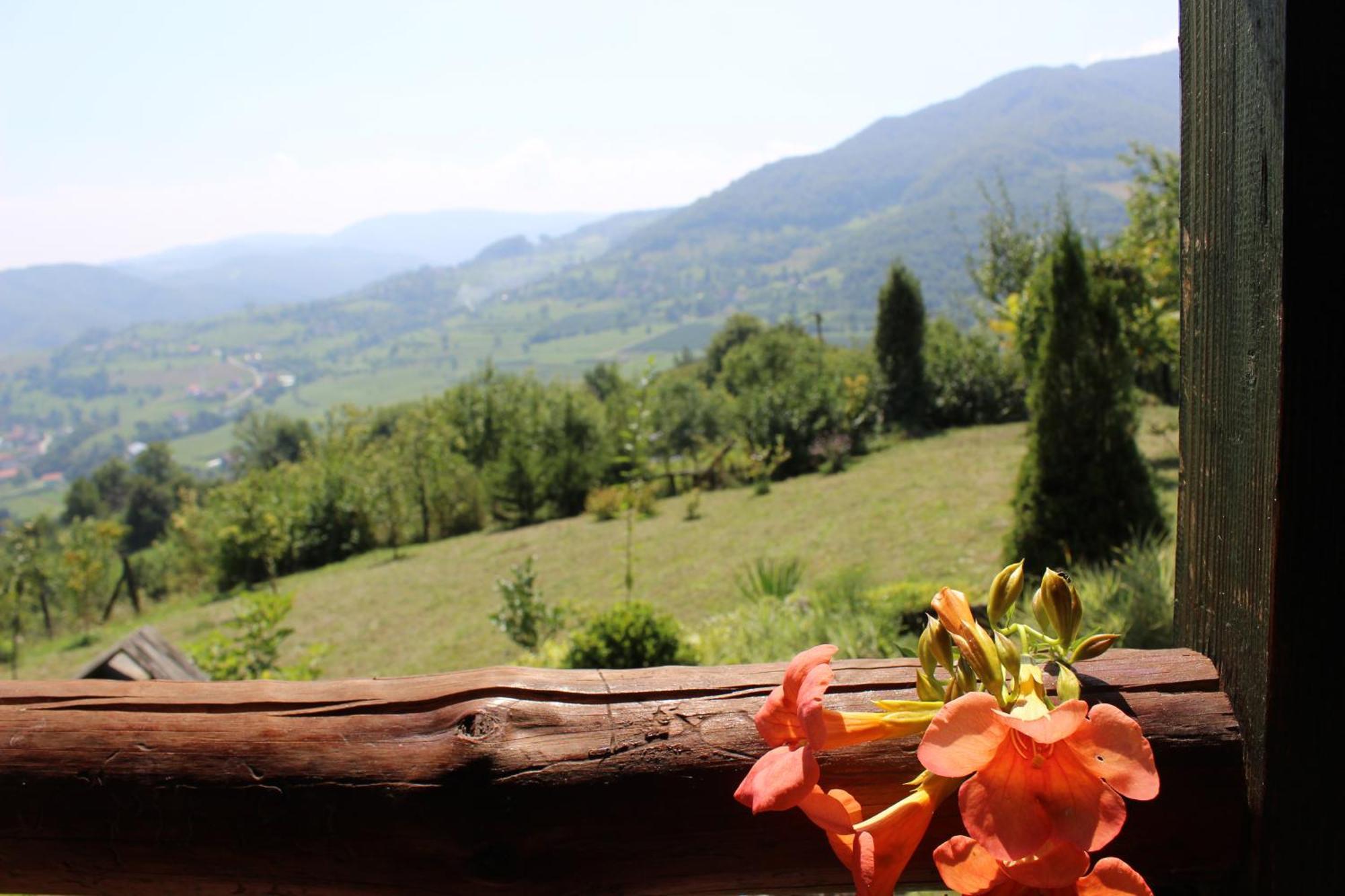 Visoko Gorani Cottage Ngoại thất bức ảnh
