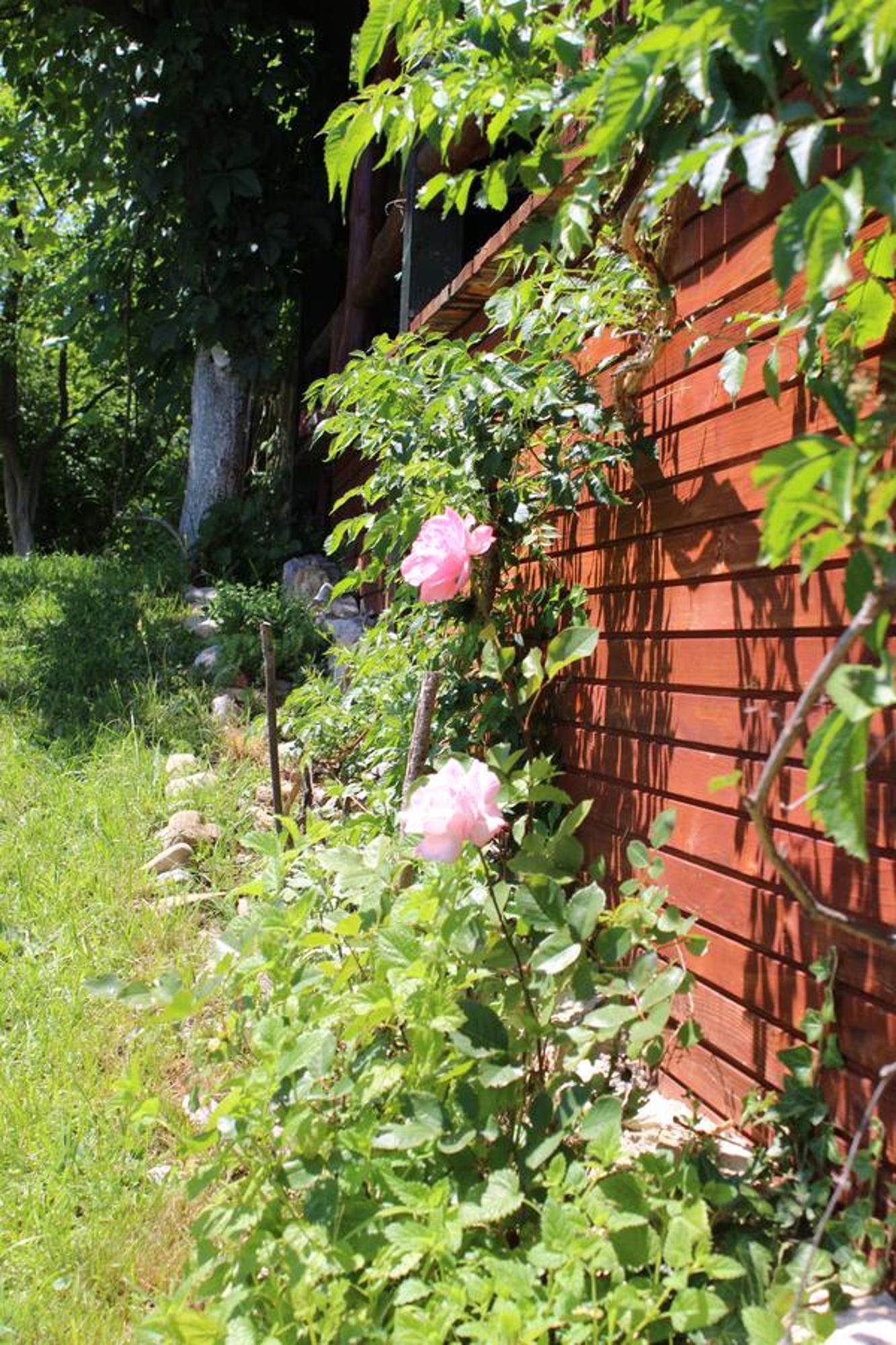 Visoko Gorani Cottage Ngoại thất bức ảnh