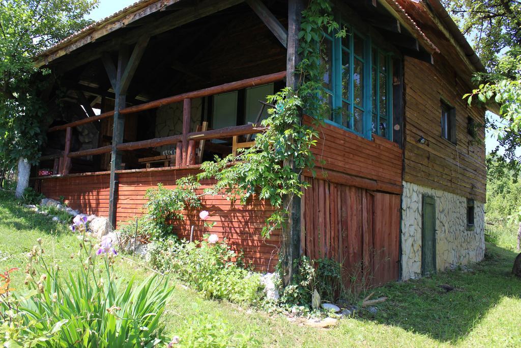Visoko Gorani Cottage Ngoại thất bức ảnh