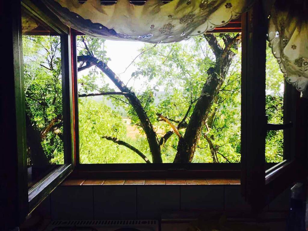 Visoko Gorani Cottage Ngoại thất bức ảnh