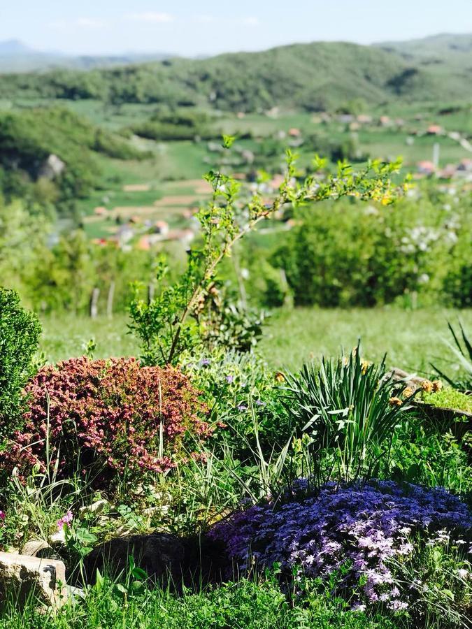 Visoko Gorani Cottage Ngoại thất bức ảnh